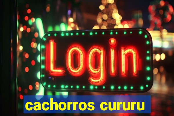 cachorros cururu